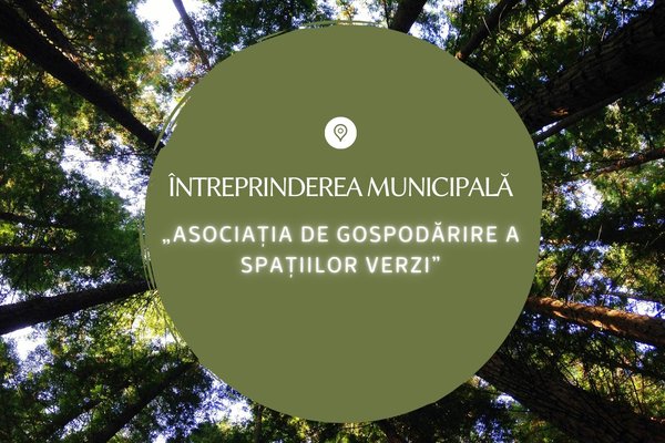 Victoria Covali Director Asociația de Gospodărire a Spațiilor Verzi la Primul Forum Economic Chisinau