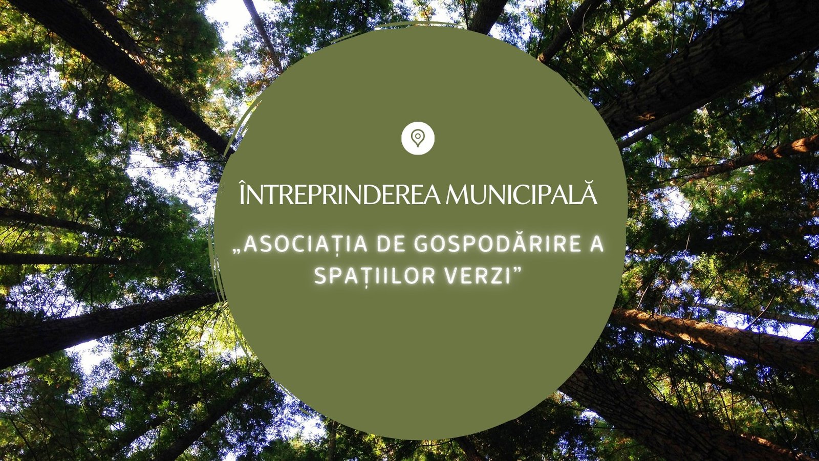 Victoria Covali Director Asociația de Gospodărire a Spațiilor Verzi la Primul Forum Economic Chisinau