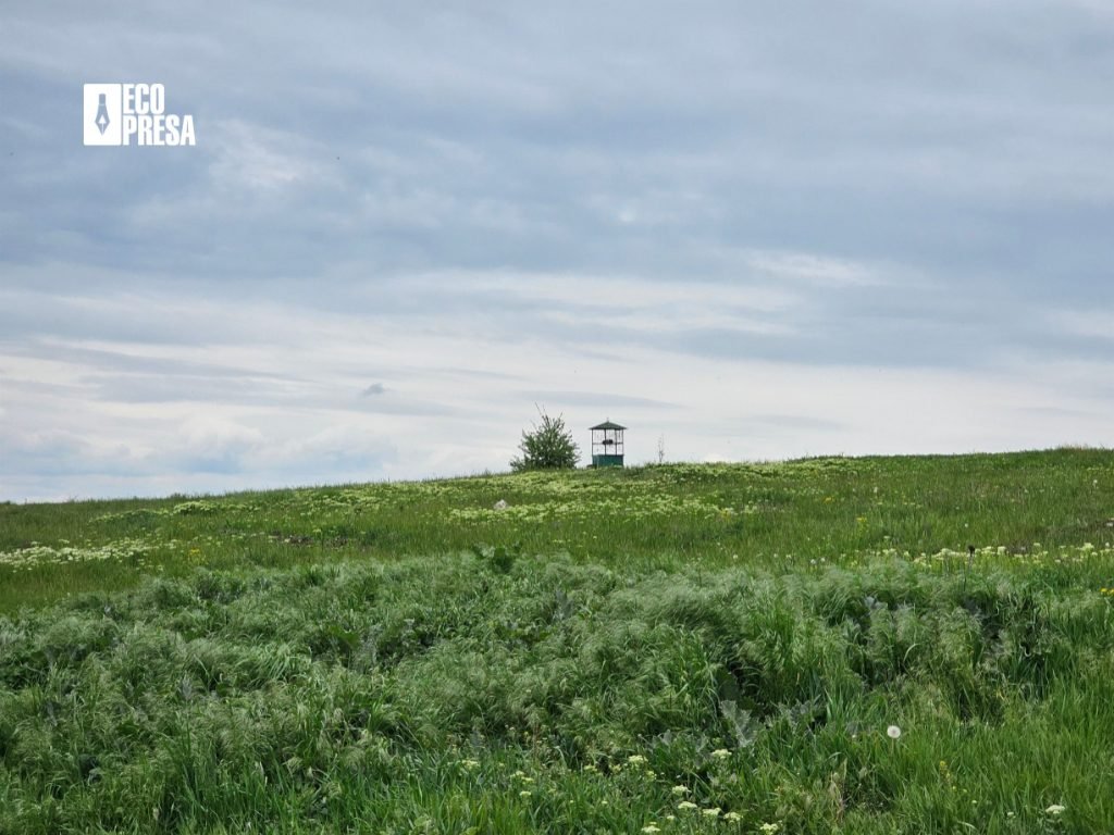 Ziua Fotografierii Naturii: imagini care ne apropie de mediul înconjurător