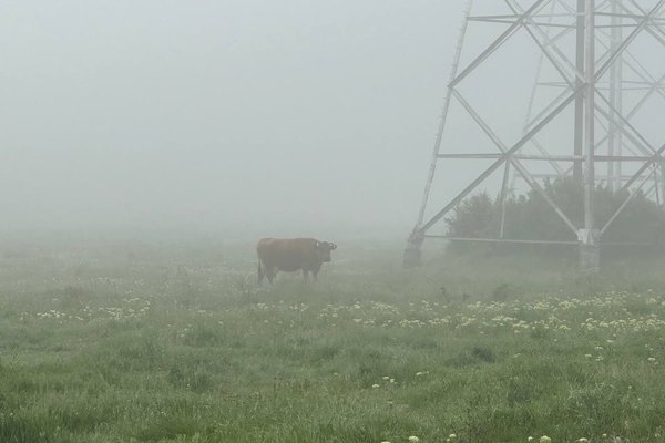 Fotografiezi natura? Poți câștiga 200 de euro la un concurs foto