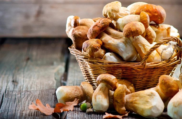 Ciupercile, alternativa sustenabilă la carne: beneficii pentru siluetă și mediu