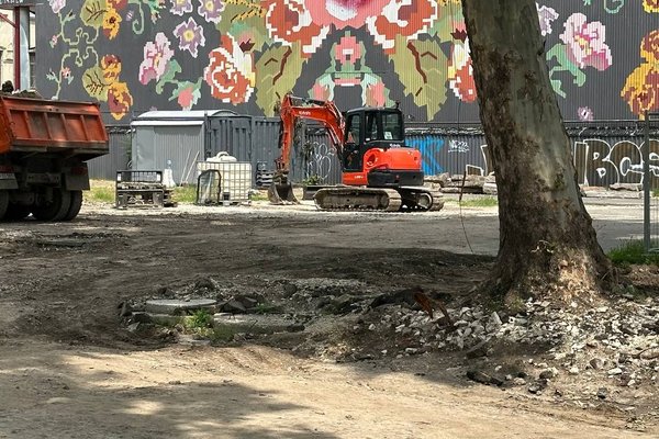 Aceleași practici la trei ani distanță. Rădăcini distruse ale copacilor în reabilitarea trotuarului de pe 31 August 1989