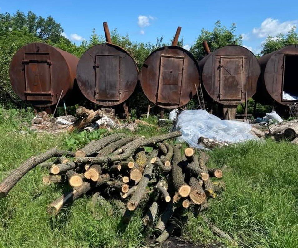 Tăieri ilegale de arbori depistate de inspectorii de mediu din Strășeni