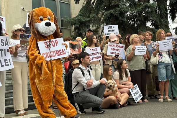 Protest pentru protecția animalelor în fața Guvernului