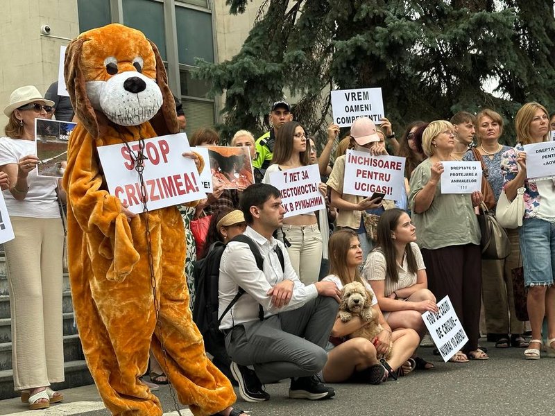 Protest pentru protecția animalelor în fața Guvernului
