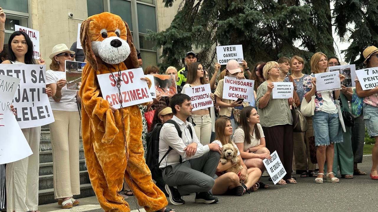 Protest pentru protecția animalelor în fața Guvernului