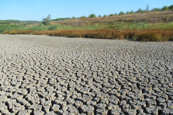 Râurile Europei seacă, perturbând schimburi comerciale în valoare de 80 de miliarde de dolari
