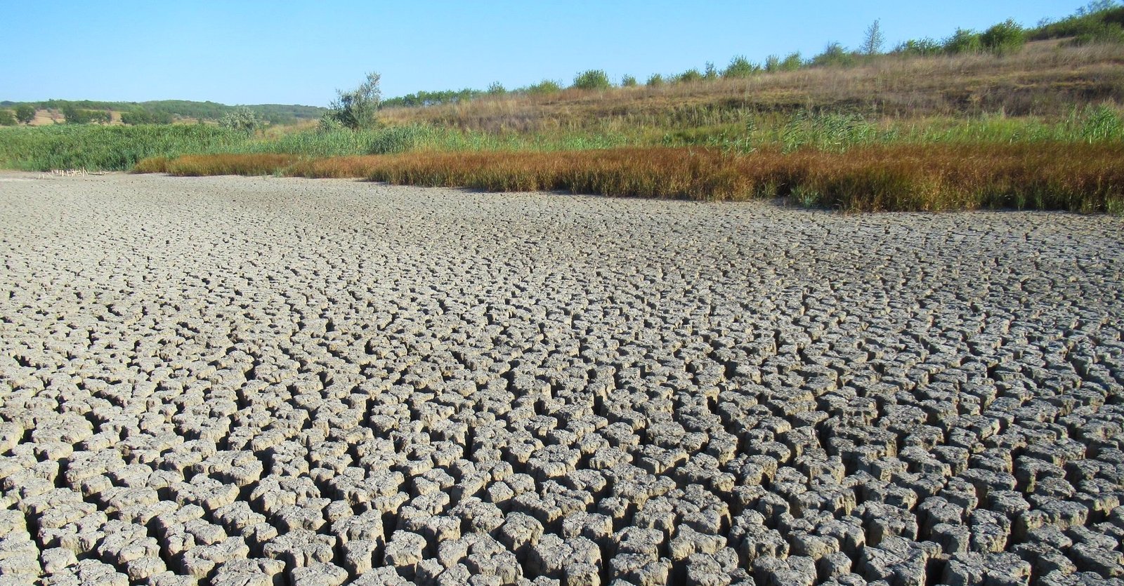 Râurile Europei seacă, perturbând schimburi comerciale în valoare de 80 de miliarde de dolari