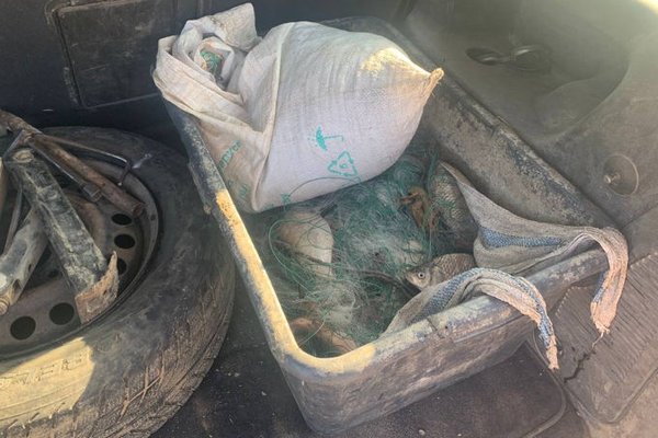 Pescuit ilegal în zona de frontieră: Mai mulți bărbați, amendați