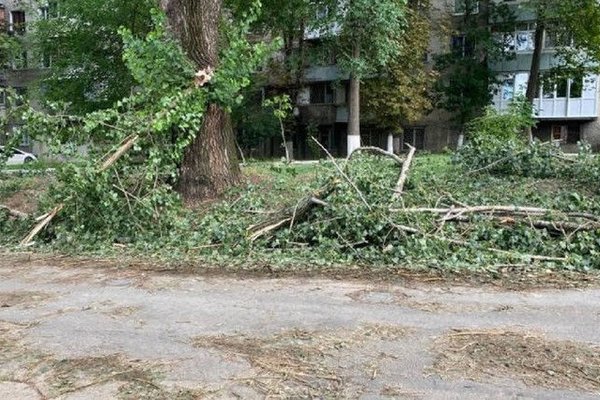 Circa 3.000 de copaci distruși de vântul puternic, evacuați din Capitală