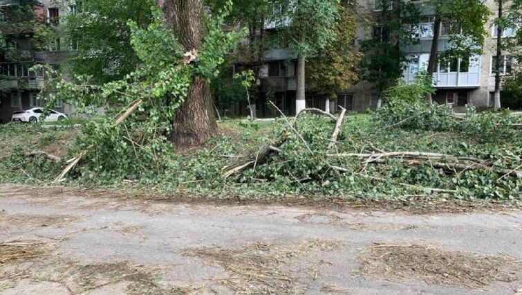 Circa 3.000 de copaci distruși de vântul puternic, evacuați din Capitală