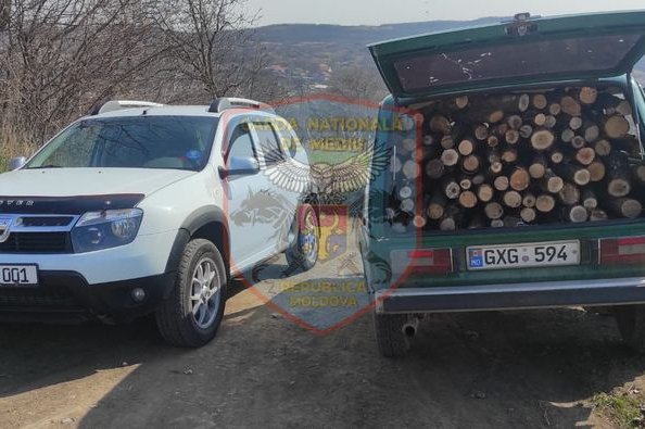 Garda Națională de Mediu a fost din nou în acțiune