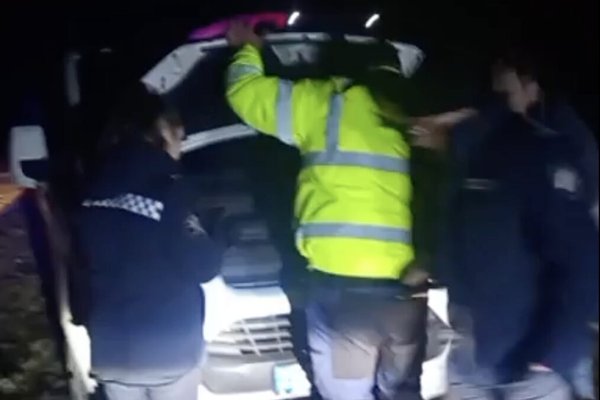 ALARMANT: Voluntarii GNM, sub ploaia de gloanțe în lupta cu „Mafia Pădurii”
