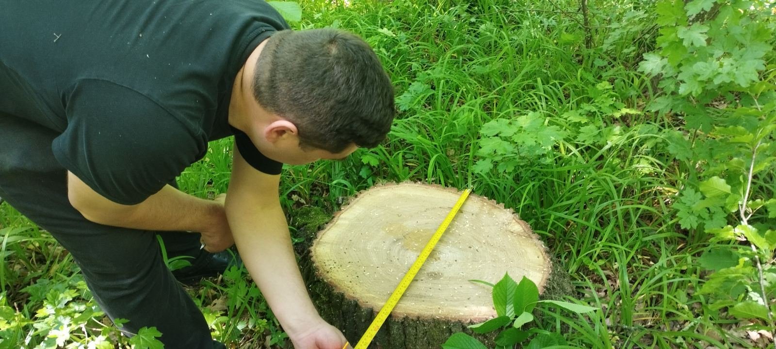 Tăieri ilegale și deversări de ape uzate în nordul țării. Prejudiciul adus mediului depășește 68 de mii de lei