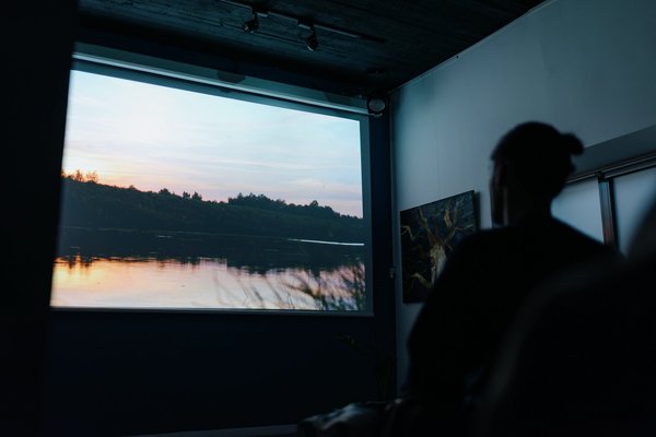 Documentarul „Nistrul de Jos. Limbajul naturii“, proiectat la Chișinău