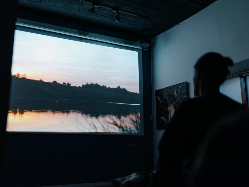 Documentarul „Nistrul de Jos. Limbajul naturii“, proiectat la Chișinău