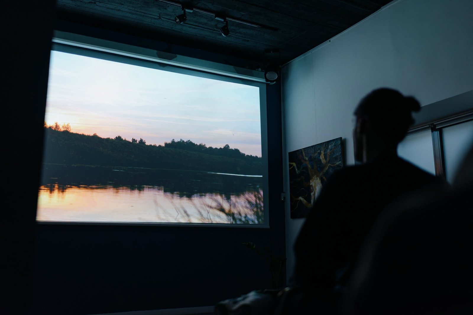 Documentarul „Nistrul de Jos. Limbajul naturii“, proiectat la Chișinău