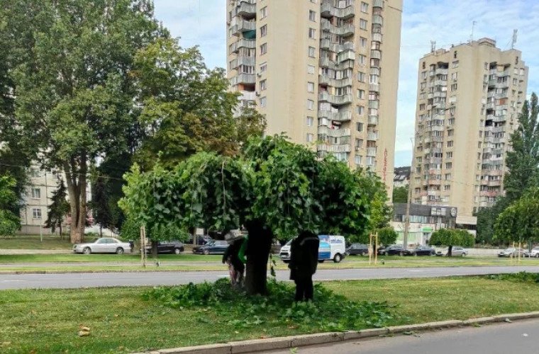 Lucrări de întreținere a duzilor pe bulevardul Dacia din Chișinău