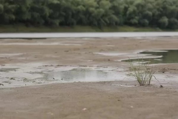 IGSU nu confirmă o criză de apă la Nistru, dar imaginile arată un debit scăzut