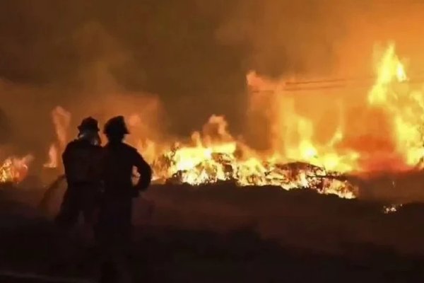 Incendiile forestiere din Spania au devastat peste 172.000 de hectare de pădure în 2026