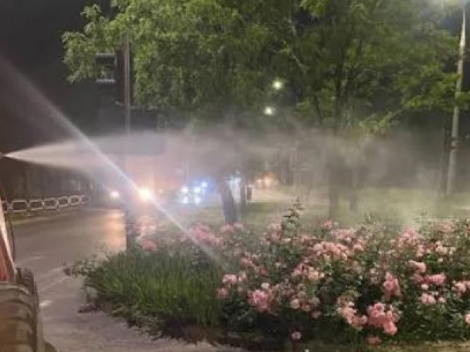 Chișinăul intensifică lupta împotriva ambroziei prin tratamente nocturne