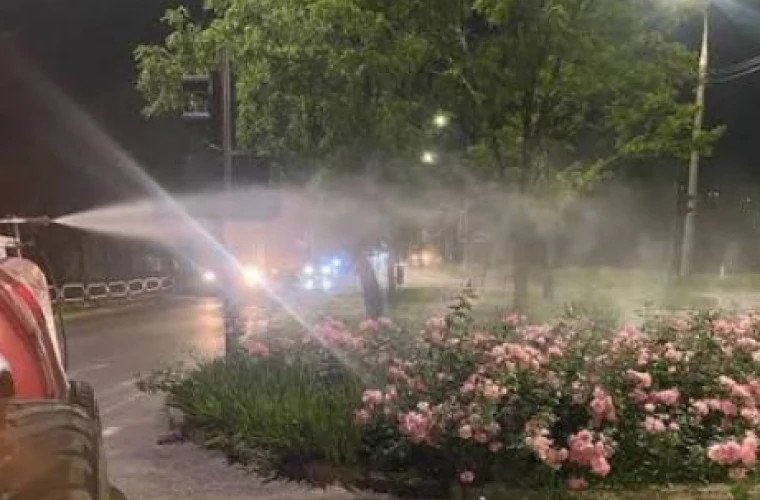 Chișinăul intensifică lupta împotriva ambroziei prin tratamente nocturne