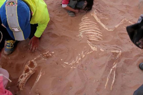 Norul de praf de la asteroidul Chicxulub – cauza reală a dispariției dinozaurilor