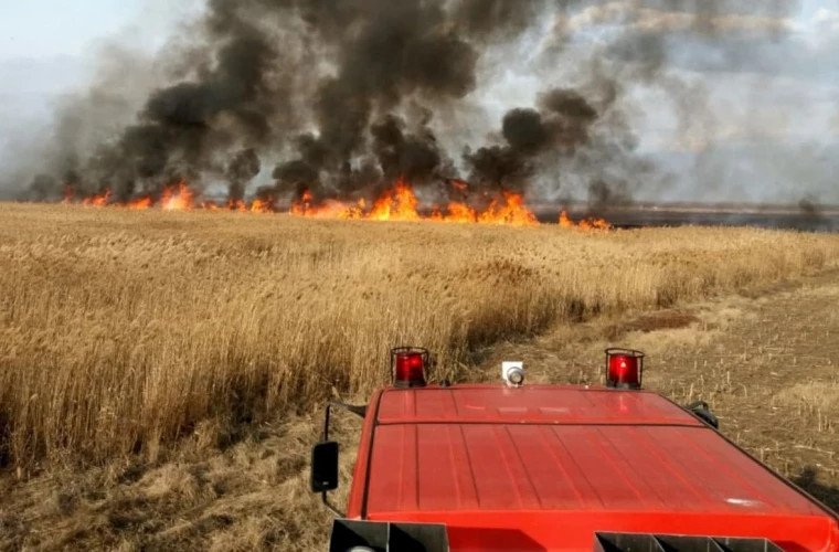 Incendiu devastator pe un lan de grâu de 40 de hectare în Telenești: pompierii salvează jumătate din suprafață
