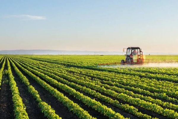 700 de afaceri agricole finanțate prin Programul FCA în Republica Moldova