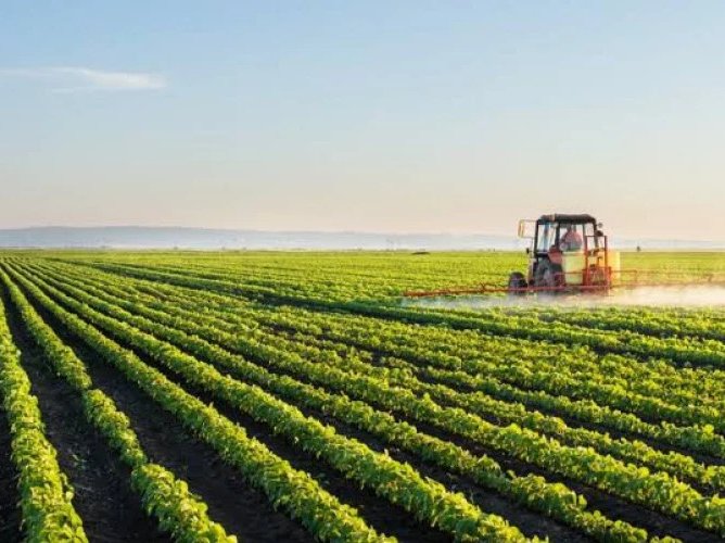 700 de afaceri agricole finanțate prin Programul FCA în Republica Moldova