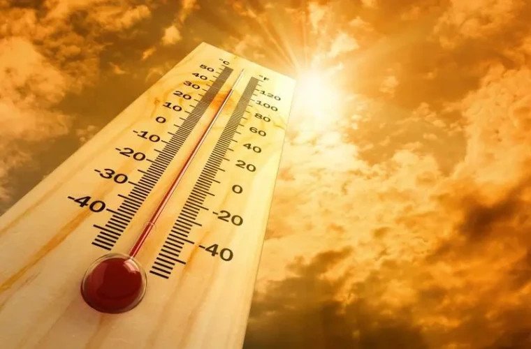 Val de căldură extremă în Europa Centrală și de Est: recorduri, secetă și presiune asupra sistemelor energetice
