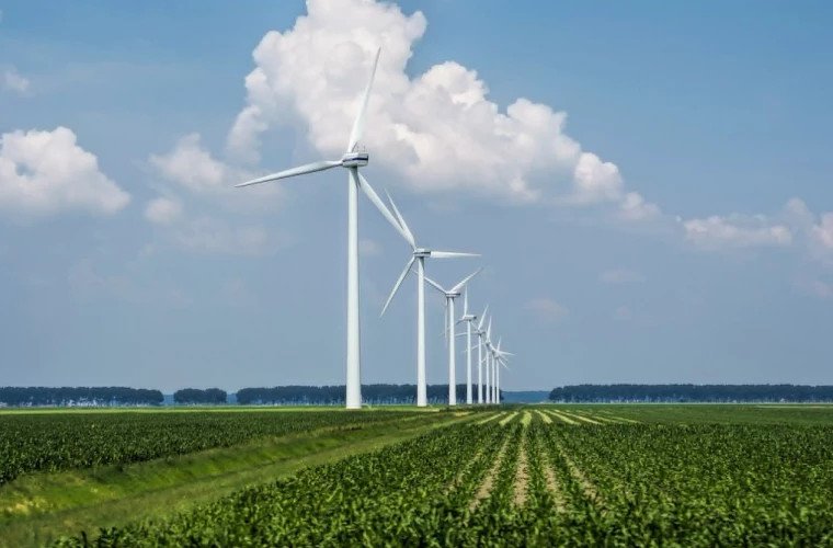 170 MW eolieni pentru Moldova: câștigătorii licitației și prețurile energiei