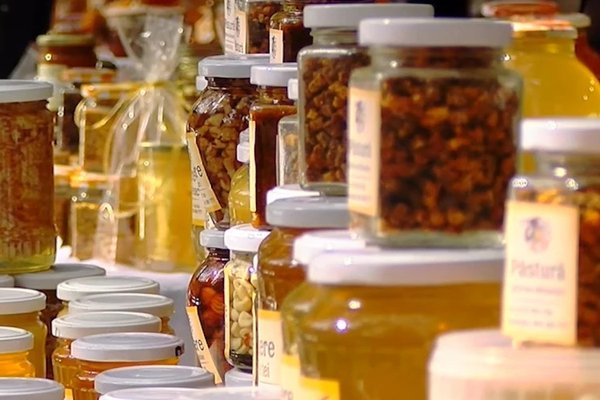 Căldura extremă din această vară a încercat apicultorii: un apicultor din Călărași povestește despre recolta de miere