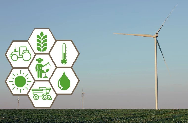 România, pionieră în UE: fermierii de acvacultură primesc bani pentru carbonul sechestrat
