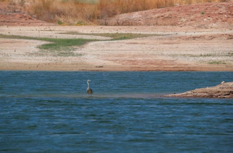 Seceta extremă a scăzut nivelul apei în cel mai mare lac de acumulare din New Mexico