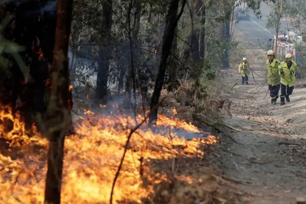 Incendii forestiere de amploare în Bosnia și Herțegovina, extinse și în Croația