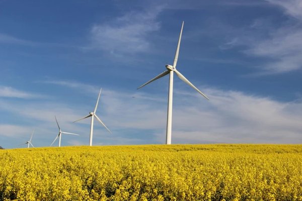 Guvernul simplifică autorizarea proiectelor de energie regenerabilă și introduce cote pentru biocarburanți