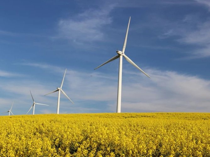 Guvernul simplifică autorizarea proiectelor de energie regenerabilă și introduce cote pentru biocarburanți