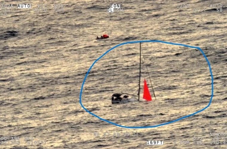 Un iaht s-a scufundat în Pacific după o coliziune cu o balenă; echipajul a fost salvat după 18 ore