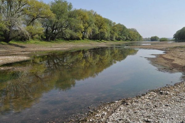 Nivelul apei se schimbă pe Prut și Nistru: ce anunță hidrologii
