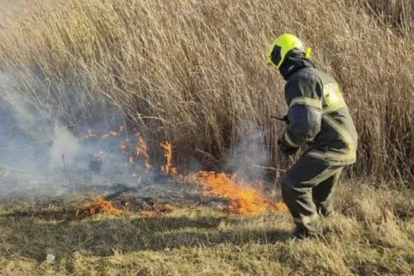 Incendiu de vegetație în raionul Ocnița, lichidat înainte de a ajunge la pădure