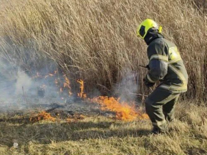 Incendiu de vegetație în raionul Ocnița, lichidat înainte de a ajunge la pădure
