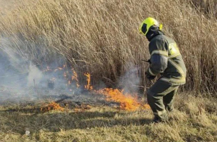 Incendiu de vegetație în raionul Ocnița, lichidat înainte de a ajunge la pădure