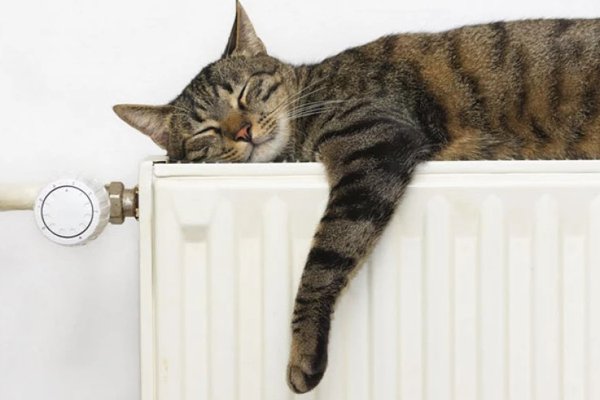 Termoelectrica poate conecta blocurile din Chișinău la căldură la cererea locatarilor