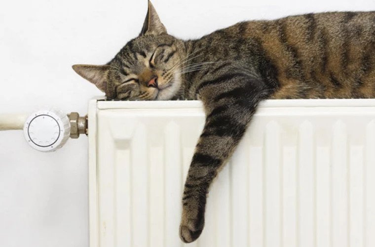 Termoelectrica poate conecta blocurile din Chișinău la căldură la cererea locatarilor