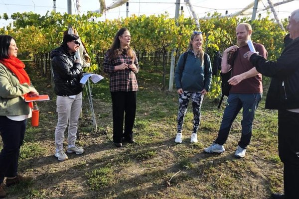 ANSA și experți cehi au simulat intervenția împotriva flavescenței aurii a viței-de-vie