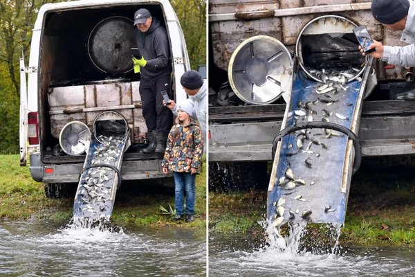 Lacurile din Chișinău, populate cu pește: prima acțiune la „La Izvor”