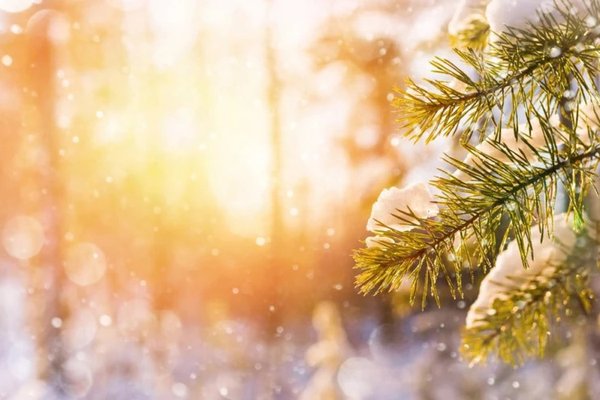 Europa se îndreaptă spre o iarnă săracă în zăpadă. Ce arată modelele sezoniere