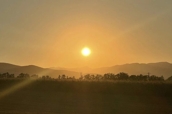 Căldura extremă din 2026, legată de peste 50 de mii de decese în orașele Europei