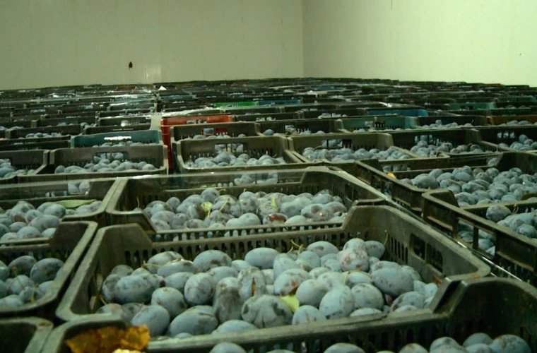Granturi pentru micii fermieri afectați de riscurile climatice
